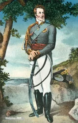 The Duke Of Wellington, Battle Of Waterloo, 1815